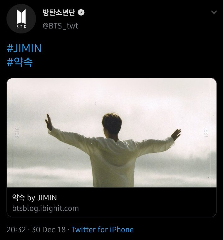 Promise was Jimin's first solo song under Slow Rabbit Production. The lyrics were written by Jimin accompanied by RM. Around April 2018, Slow Rabbit revealed that Jimin has started writing his song. And in December 2018, Jimin released this track in Soundcloud. ++