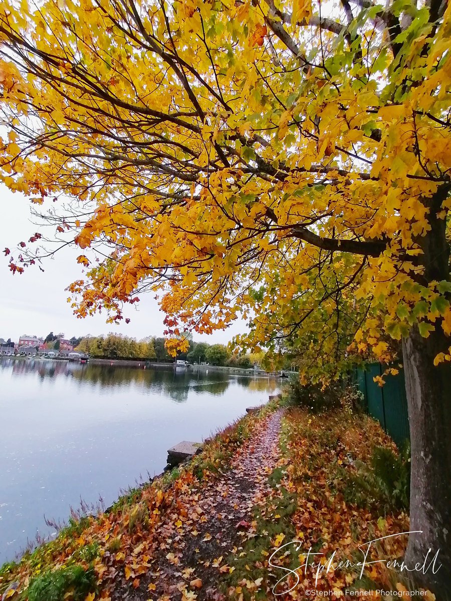 Good Morning #Solihull, have a great weekend!
It will be a breezy and mostly cloudy day with showers. Rain could be heavy at times. Highs of 15°C & Lows of 7°C
(Image: #Olton Mere - Stephen Fennell). https://t.co/BCNWlTK0X3