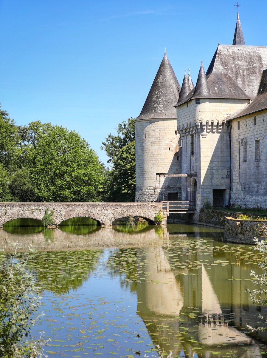 Château du Plessis-Bourré tweet media