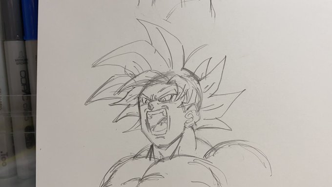 メタメタ フェニョンさんのイラスト参考にしたけど。ちょっとはマシになった
左が参考あり、右参考無し 