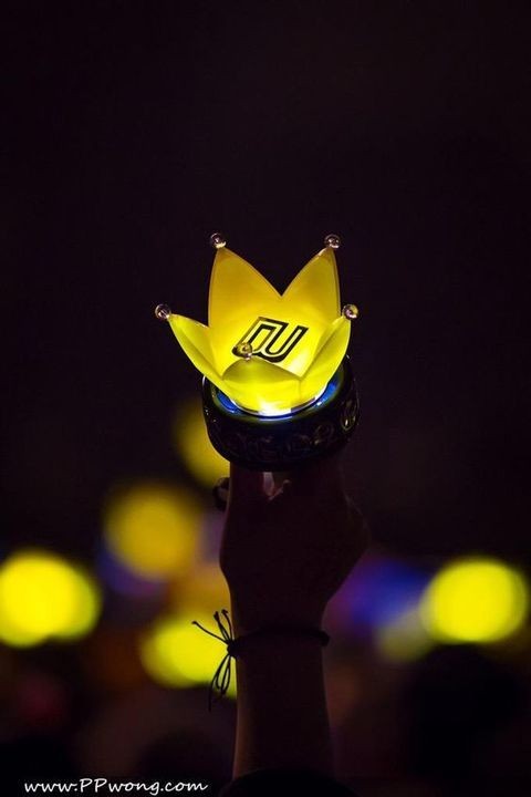 VIPs (Big bang stans)