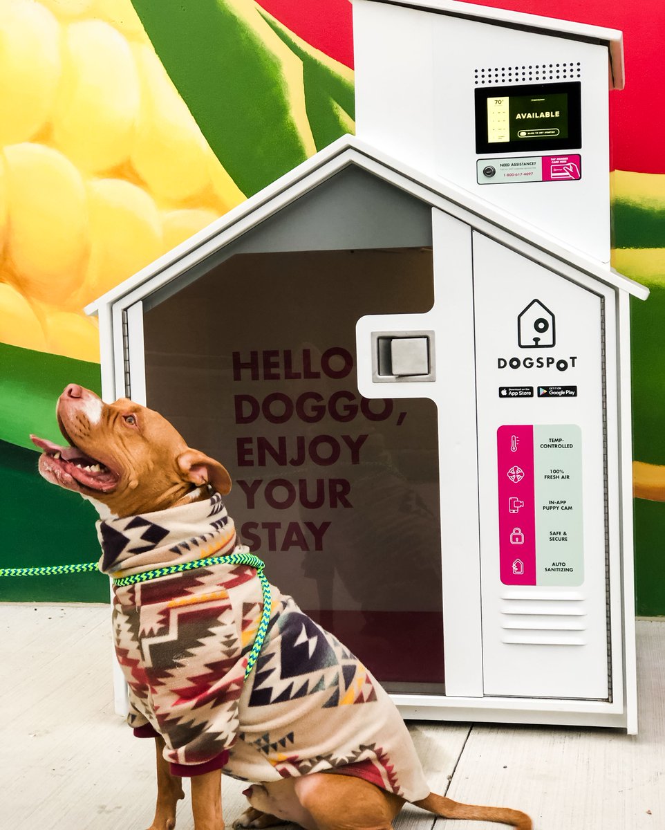 We are proud to have Lansing's first <a href="/dogspot/">DogSpot</a> location at Capital City Market! Simply download the app on your phone and use code DOG30 to get your first 30 minutes FREE! DogSpot houses are equipped with air conditioning, heated floors, a puppy cam, and UV-sanitization. 🐶 ❤️