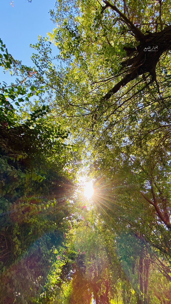 bandar📱 tweet media