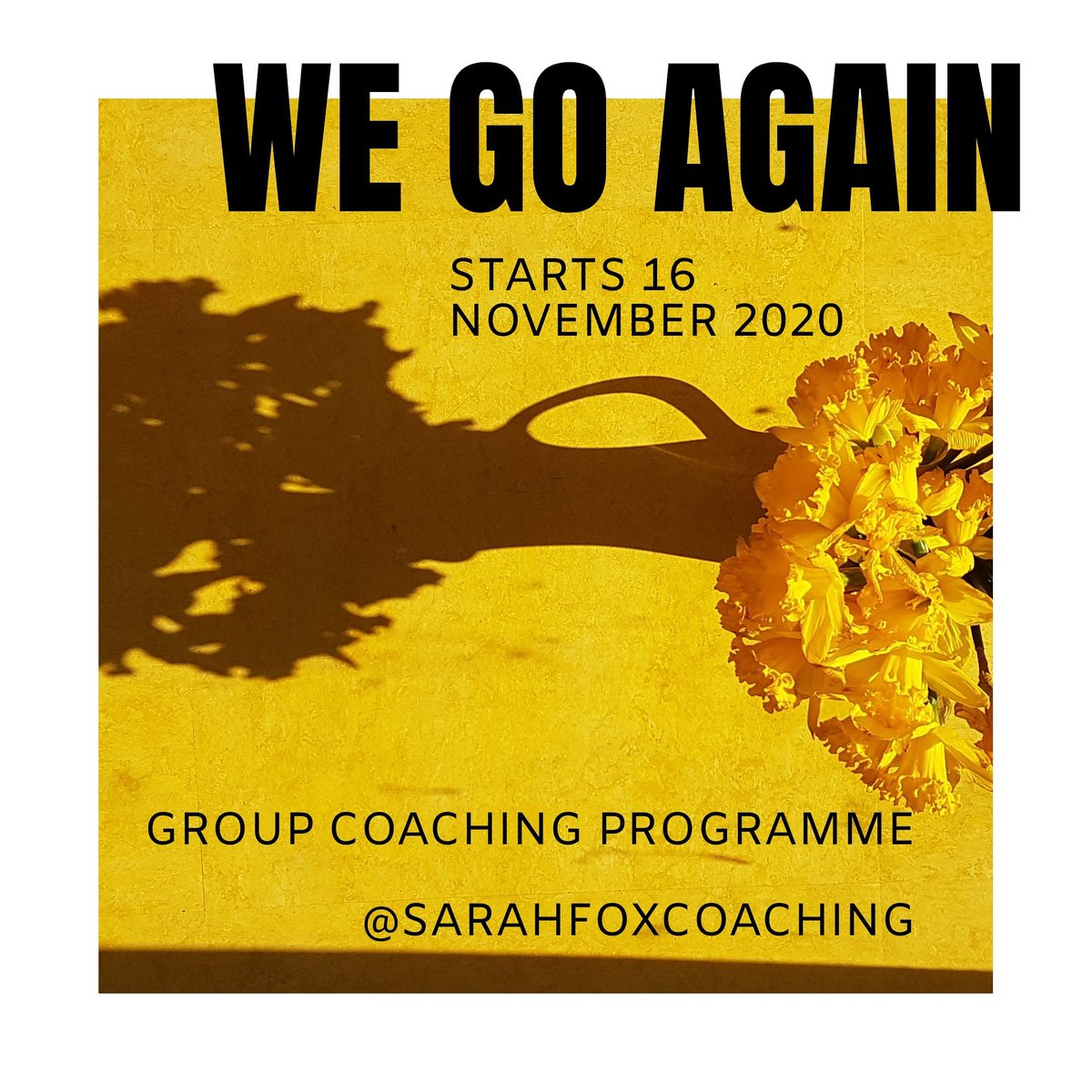 I have only four spaces left for my group programme We Go Again starting Monday 16 November for 6 weeks. We talk *goals for 2021 *accountability, *optimism *saboteurs  *strengths *opportunities *confidence *other stuff! send me a msg to book your space!