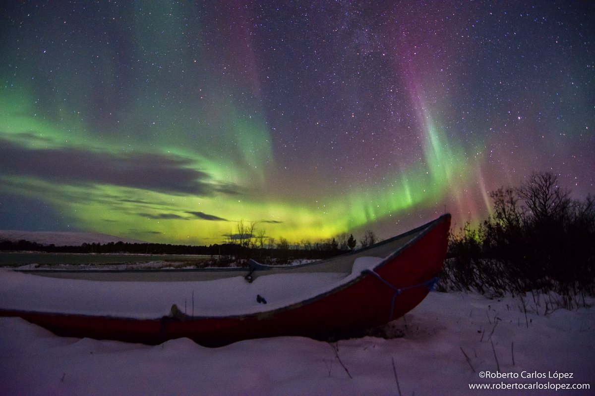 Bromotengger's tweet photo. Que noche la que vivimos ayer con nuestro grupo @PangeaES en Laponia Sueca...No recuerdo una sesión de auroras más potente y espectacular...Nos pasamos más de 3 horas viendo danzar a las mágicas luces del norte sobre nuestras cabezas...No lo puedo describir con palabras... https://t.co/wdaJERrUib