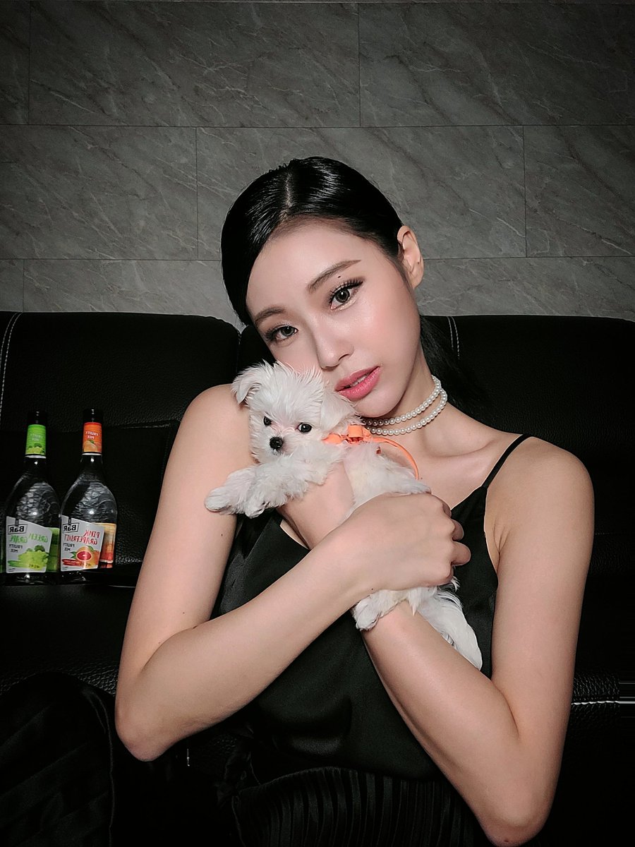 kuksonyong's tweet photo. Imma Lovesick girl of Thor @thor_kuk 

Happy Saturday Chic yet good vibes from #Shine&amp;Thor #Kukfamily 🥰💛🐶

_
P.s Wanna do #gonbae #Sojuicy with me? @fruitymixbythebar 💚🧡 
#Endorser #TheBar #FruityMix 
#광고 #술 https://t.co/jWfkDlpla9