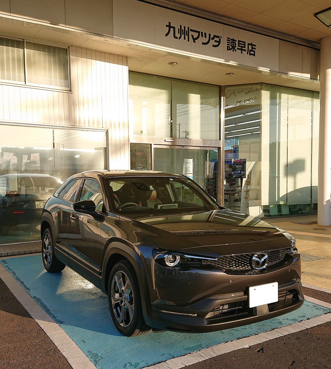 マイルドハイブリッド マイルドハイブリッド