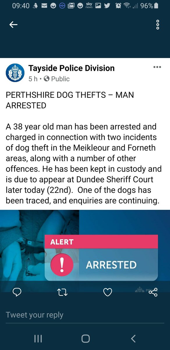 cegra114's tweet photo. 2 dogs still missing https://t.co/AkVxNAjMs1