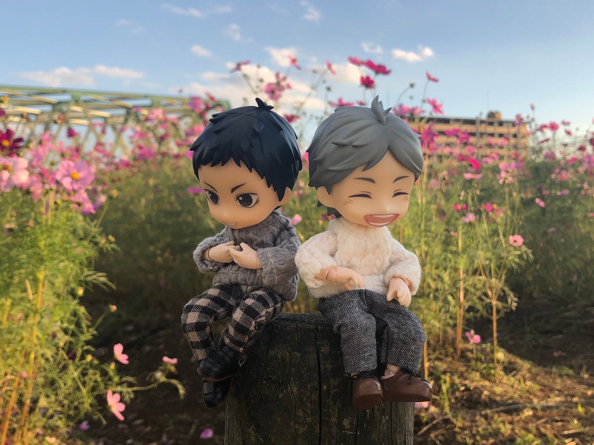 mimimi_sg's tweet photo. はぁぁぁぁ、かわいい💕
お散歩(^^) https://t.co/nPnSdFebV5