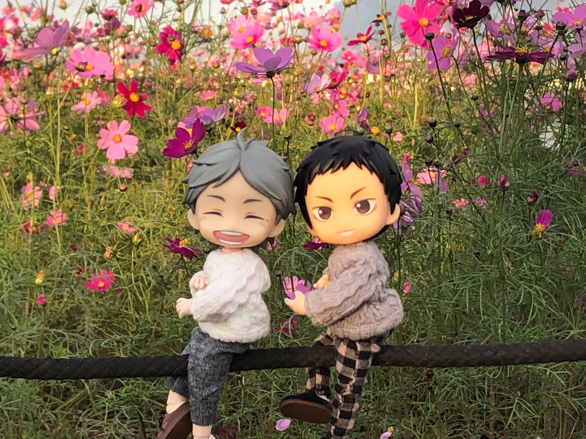 mimimi_sg's tweet photo. はぁぁぁぁ、かわいい💕
お散歩(^^) https://t.co/nPnSdFebV5