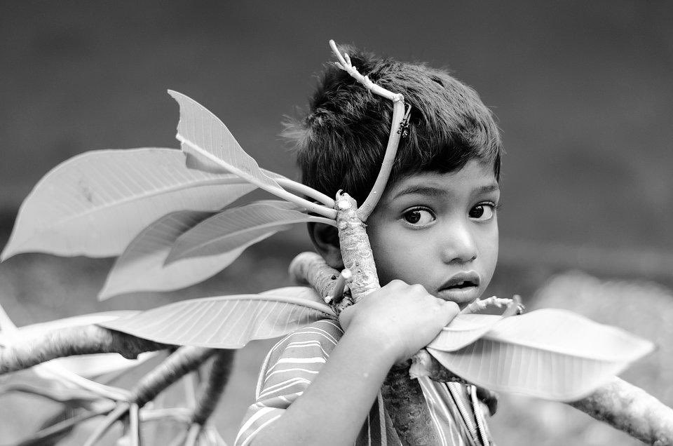 'Equal opportunity to all kids,' B.R.Hills,Karnataka, India.
PHOTO: KIRAN PARAMESH, INDIA (3/4) https://t.co/hobj8dg7LZ
