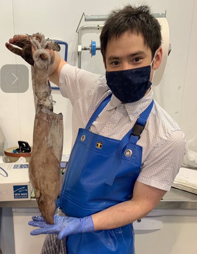Big old Cornish squid