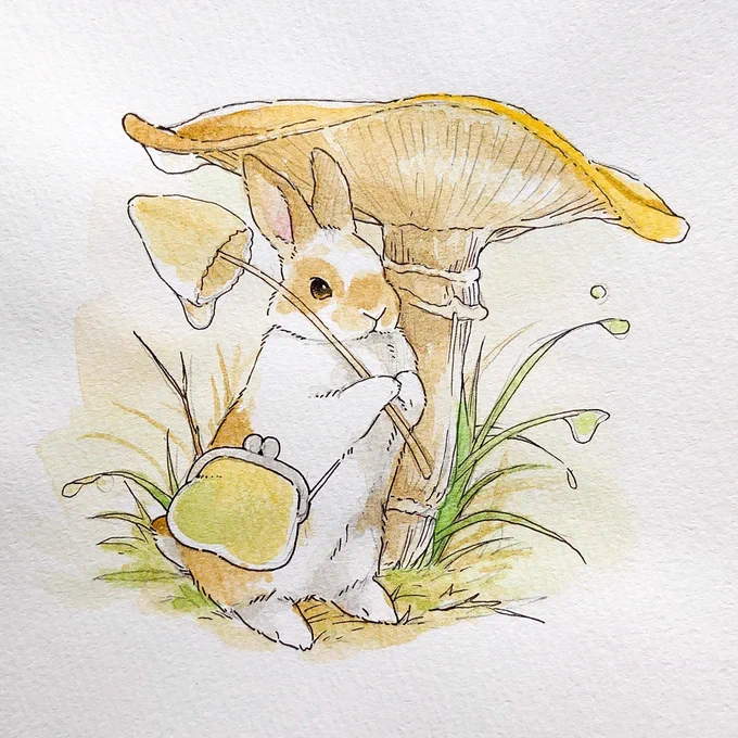 ??✨きのこ傘 