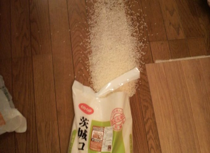 全米が泣いた https://t.co/LHH1Mahyqk<a href="/tag/%E3%82%B9%E3%83%91%E3%82%A4%E3%83%80%E3%83%BC%E3%83%9E%E3%83%B3"class="tags"><span>#スパイダーマン</span></a><a href="/tag/%E9%81%93%E9%A0%93%E5%A0%80"class="tags"><span>#道頓堀</span></a><a href="/tag/%E9%BB%92%E3%82%B9%E3%83%91%E3%82%A4%E3%83%80%E3%83%BC%E3%83%9E%E3%83%B3"class="tags"><span>#黒スパイダーマン</span></a>