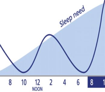 Sleep Pressure is like hunger for sleep: just as the longer you haven’t eaten the hungrier you will be, the longer you’ve been awake the more Sleep Pressure there isSleep Pressure builds fairly linearly, from the moment you wake up until you fall asleep