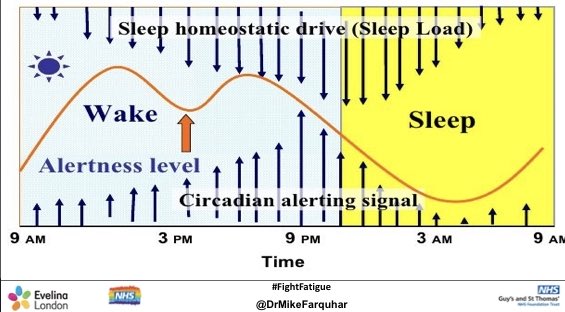 So ... how do Sleep Pressure and Circadian Rhythm interact over 24 hoursIt’s not quite as simple as it might first look ... let’s walk through this diagram