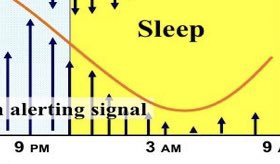 As we near bedtime, its job done, the alerting signal starts to drop away, leaving Sleep Pressure unopposed ... which means it’s time to go to sleepAs we go through the night, the alerting signal drops to pretty much zero, reaching its nadir around 3am