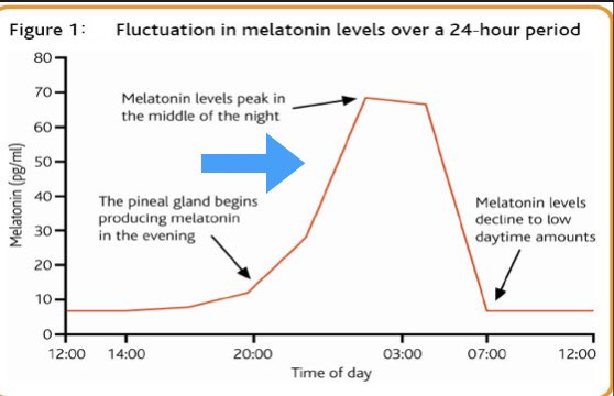 There are other things going on though ... At the end of the day, other things are helping us get into sleepOne of these is melatonin, whose release is triggered by the body clock as environmental light levels fall