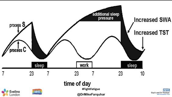 Understanding the interaction of Sleep Pressure and Circadian Rhythm also helps understand how people feel when working nightsThis person is coming to do a nightshift having been awake since 7amWhen they arrive at work, they feel ok - S is high, but so is the alerting signal