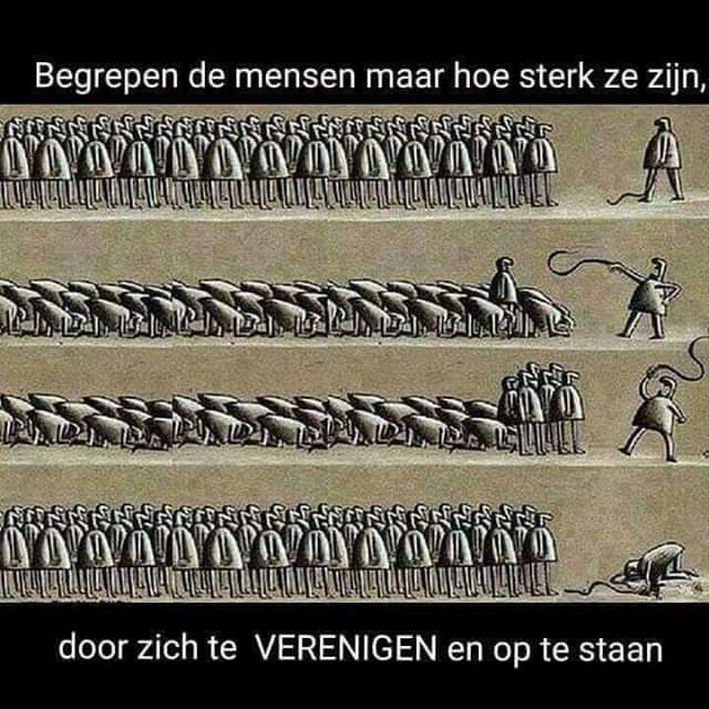 BaronHertog's tweet photo. @IreneHoogenraad https://t.co/W4mIEIItf1