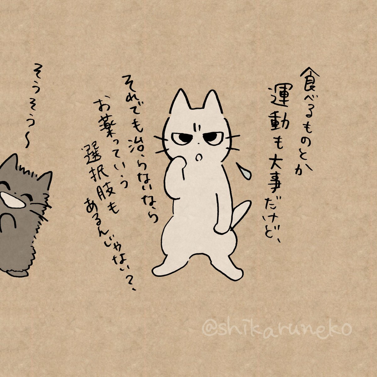 便秘に悩む人と、しかるねこと、あまやかすねこ​
#PR #酸化マグネシウムE便秘薬 https://t.co/NI1IqFJcOz (提供:@kenei_pharm) 