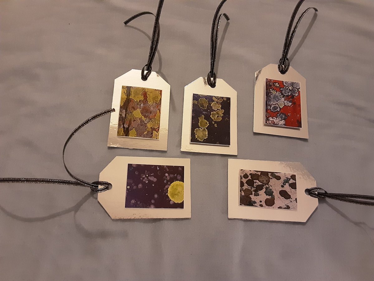 kathleendawson9's tweet photo. #gifttags #packsof5 #availablenow #SupportSmallBusinesses @UKGiftHour @nwalessocial @UKCraftHour @UkCraftersHour https://t.co/3XI05bF9zi