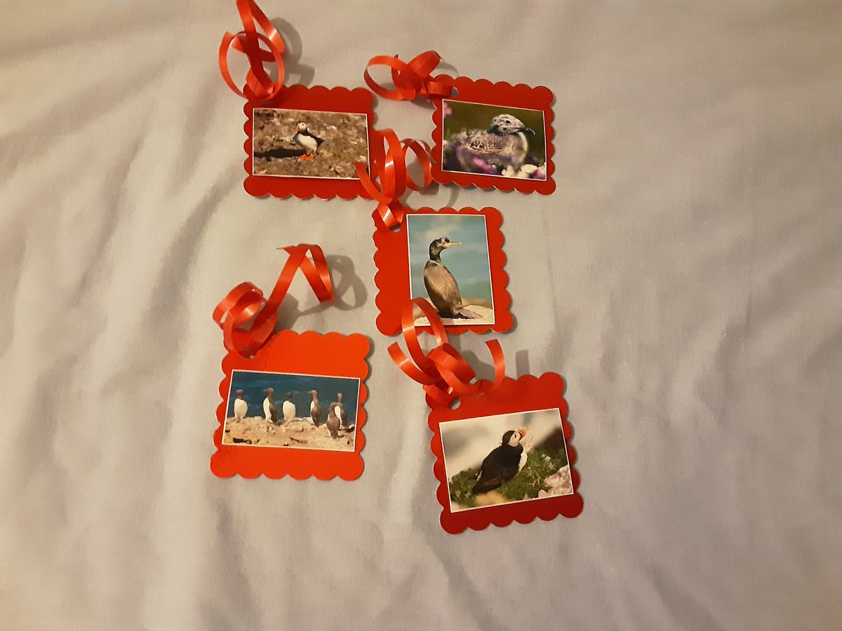 kathleendawson9's tweet photo. #gifttags #packsof5 #availablenow #SupportSmallBusinesses @UKGiftHour @nwalessocial @UKCraftHour @UkCraftersHour https://t.co/3XI05bF9zi