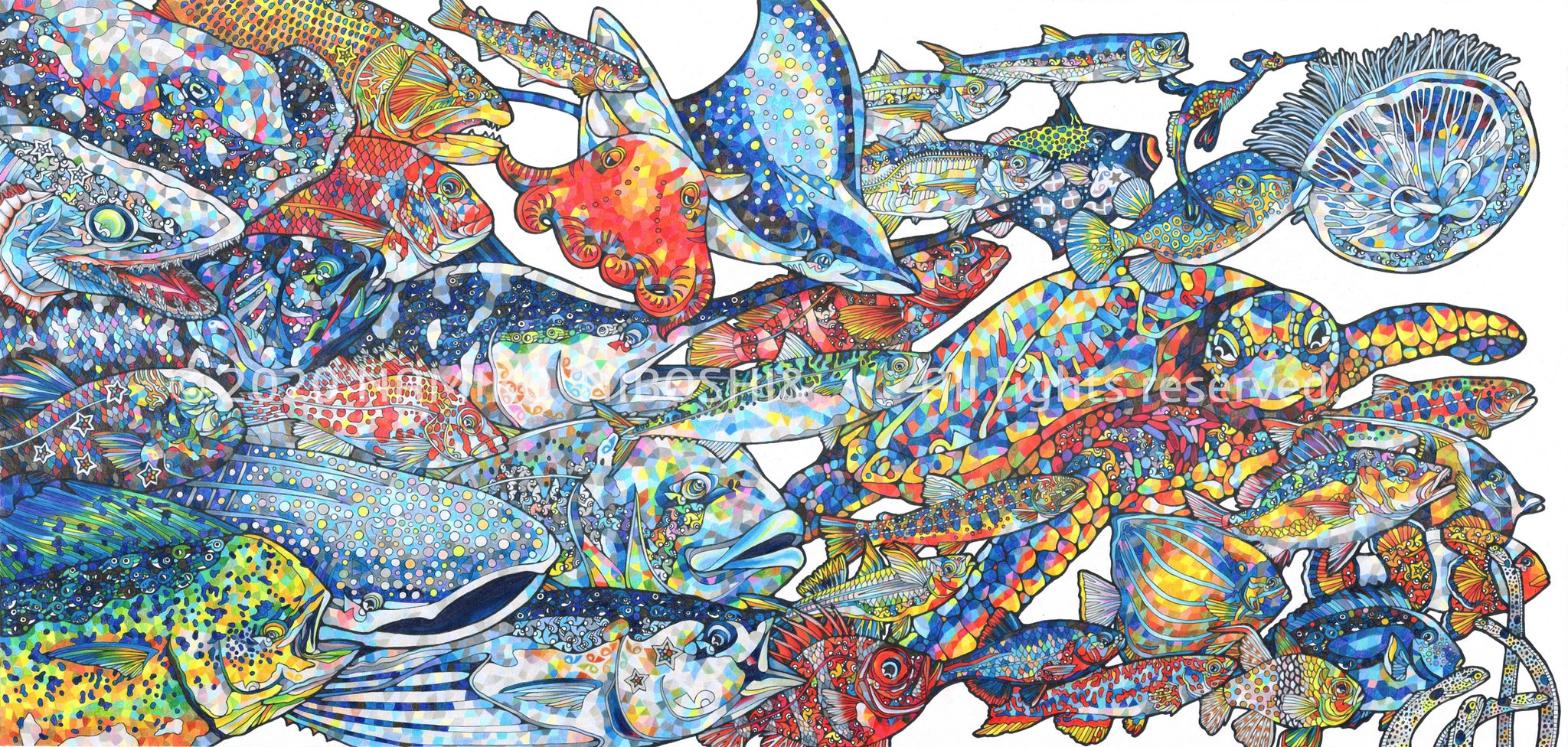 Namiko V Twitter イラスト図鑑 魚群 特別編 色鉛筆画 1260 600mm イラスト 魚 魚群