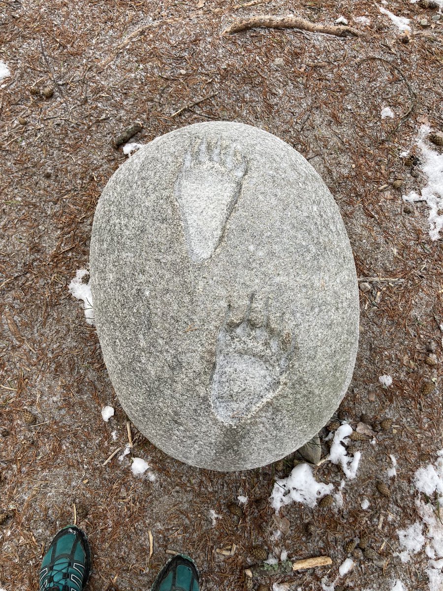 UrbangeoN's tweet photo. Fantastisk bruk av #stein og #dyrespor ved #StorElgen i #Østerdalen. #naturstein #geologi #natur https://t.co/aoyJFLwdjV