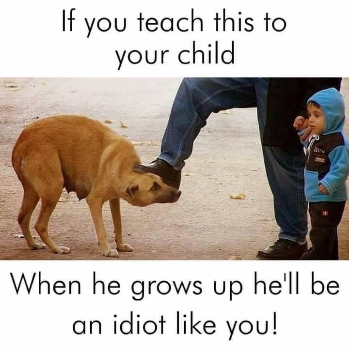 Teach your kids 👦 to have #empathy for #animals. Animals cannot speak 🗣 but they feel the pain same as #human. Treat them with love. #humanity #kids #AnimalCrossingNewHorizons #dogsarelove #climatesustainability