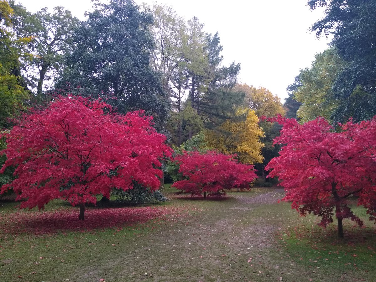 Nixintel tweet media