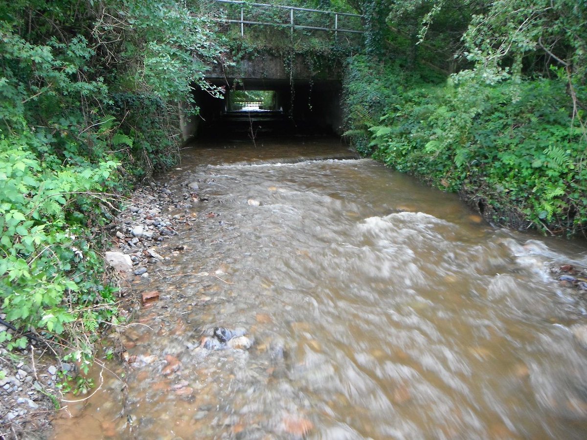 Making the impassable, passable! Free passage for fish to migrate is vital to river health. Here we removed a weir on Black Beck, opening up new spawning ground upstream. 🐟 Thanks to the landowners and the team at Ian Cannon Ltd! #WorldFishMigrationDay