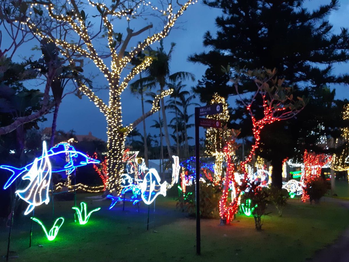 東南植物楽園 イルミネーション ひかりの散歩道 まで残り6日となりました また昨日の写真になりますが こちらはバオバブの木周辺とハス池でございます 東南植物楽園 イルミネーション 東南植物楽園 イルミネーション ひかりの散歩道 まで残り6日となりました また昨日の写真になりますが こちらはバオバブの木周辺とハス池でございます 東南植物楽園 イルミネーション