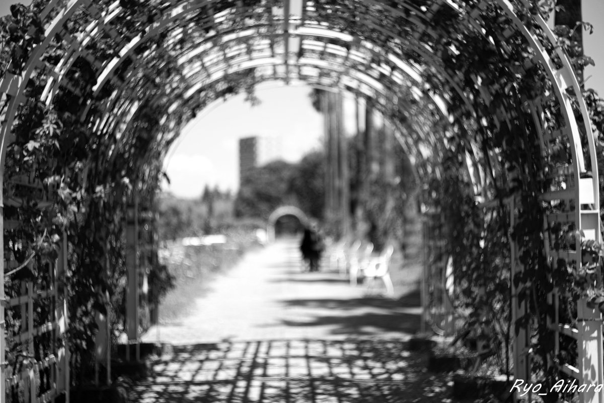 Ryo_Photography's tweet photo. モノクロは難しい

Canon EOS 5D
Helios 44

#写真撮ってる人と繋がりたい
#写真好きな人と繋がりたい
#カメラ叔父さん
#オールドレンズ
#photography https://t.co/t0rk8MDdMe