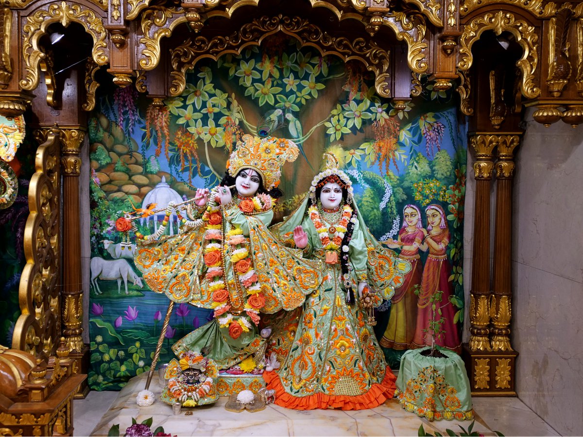 Today's Deity darshan in Orange & Pale Green outfit #krishna #radharani #radhakrishna #girigovardhan #gauranitai #jagannath #baladev #subhadra #srilaprabhupada #deities https://t.co/ZfDSdvN08R