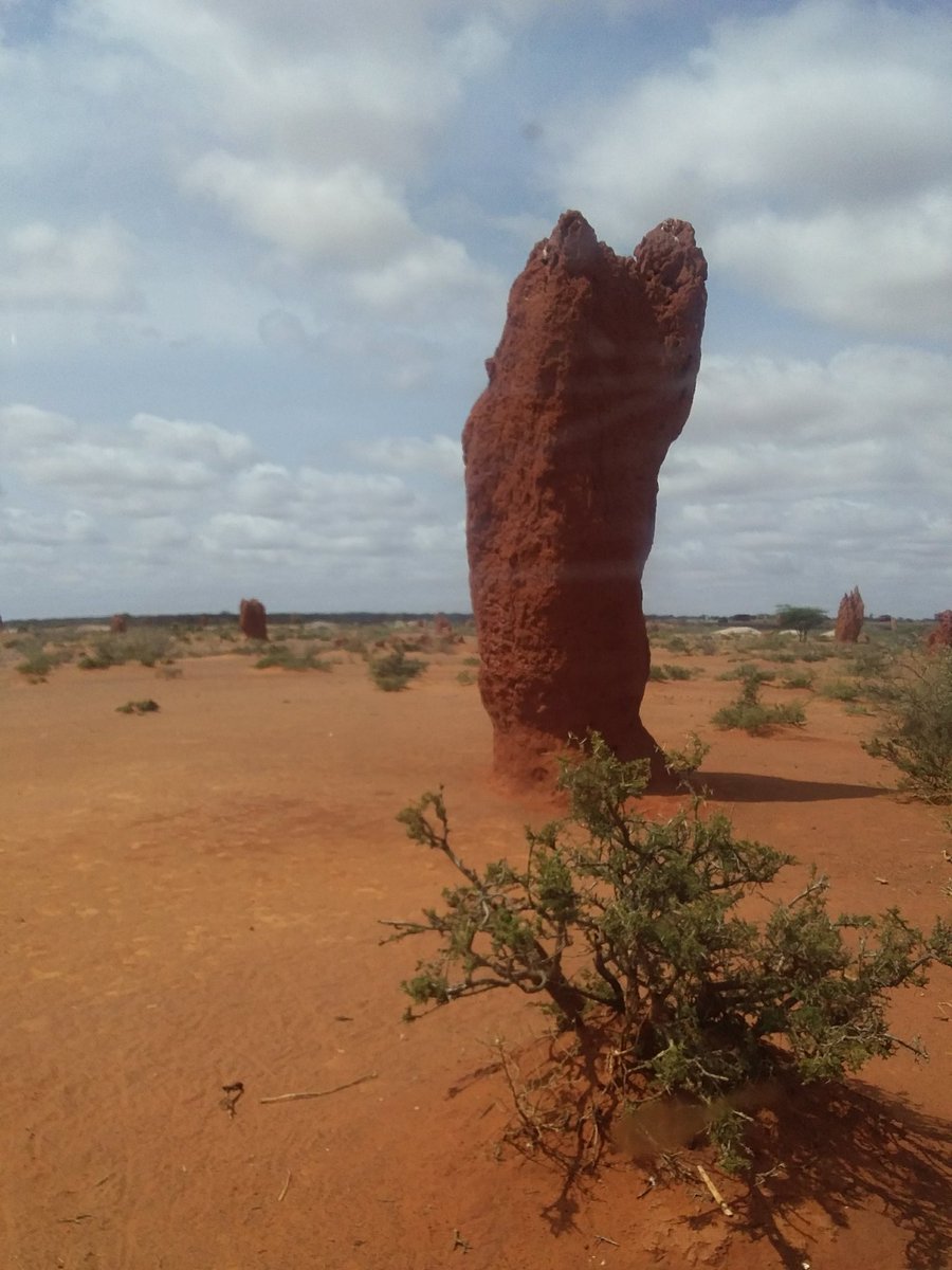 This is not  #TrumpTower it is  #AboorTower in Wardheer, Somali Region