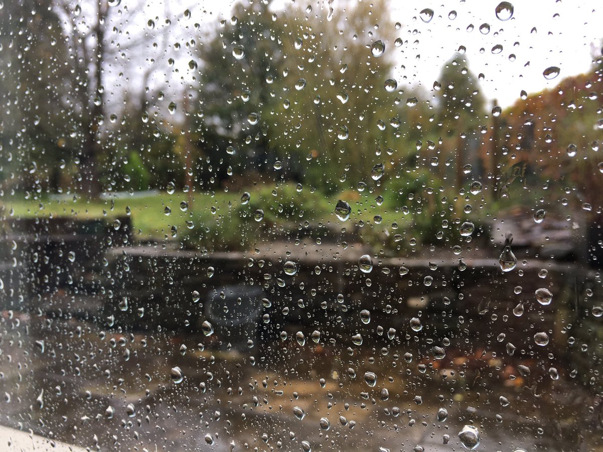 lois_wms's tweet photo. Edrych yn debyg ma’ “clo (dros dro) dan do” fydd hwn!! #diflas #ych #ceromacovid 🌧👎🏻☹️ https://t.co/VO1imjF4Tm