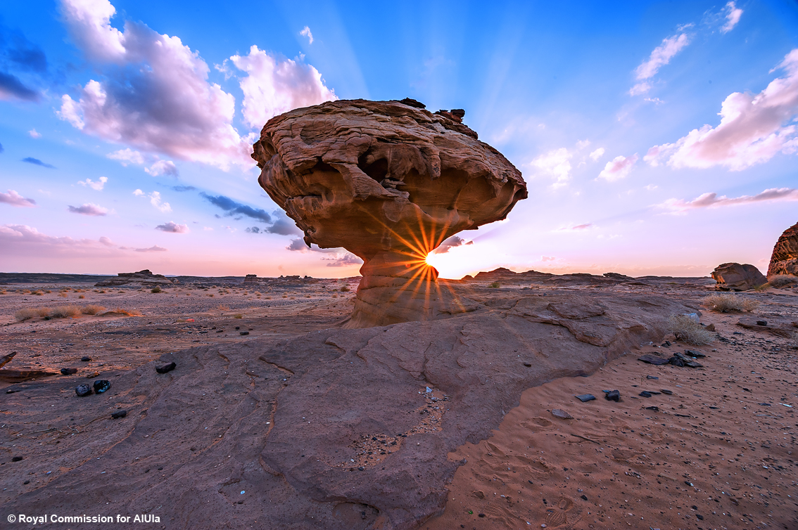 TurismoItaliaNw's tweet photo. Arabia: lungo lโantica Via dellโIncenso artigianato e comunitร si uniscono per restaurare le moschee secolari della Old Town di AlUla
Leggi la notizia https://t.co/zZCcEiB2tU
#AlUla #Arabia #ViadellIncenso #UNESCO #AlUlaExplorer #turismo #ExperienceAlUla @ExperienceAlUla https://t.co/HfO1YGBjxv