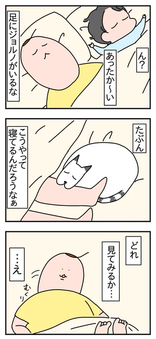 尻とぺちゃんこの玉
https://t.co/wmWDKEuuqk 