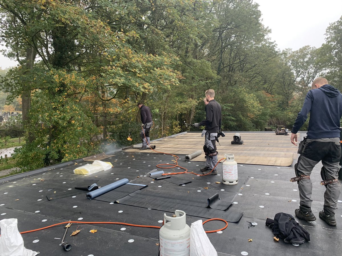 vv GOMOS tweet media