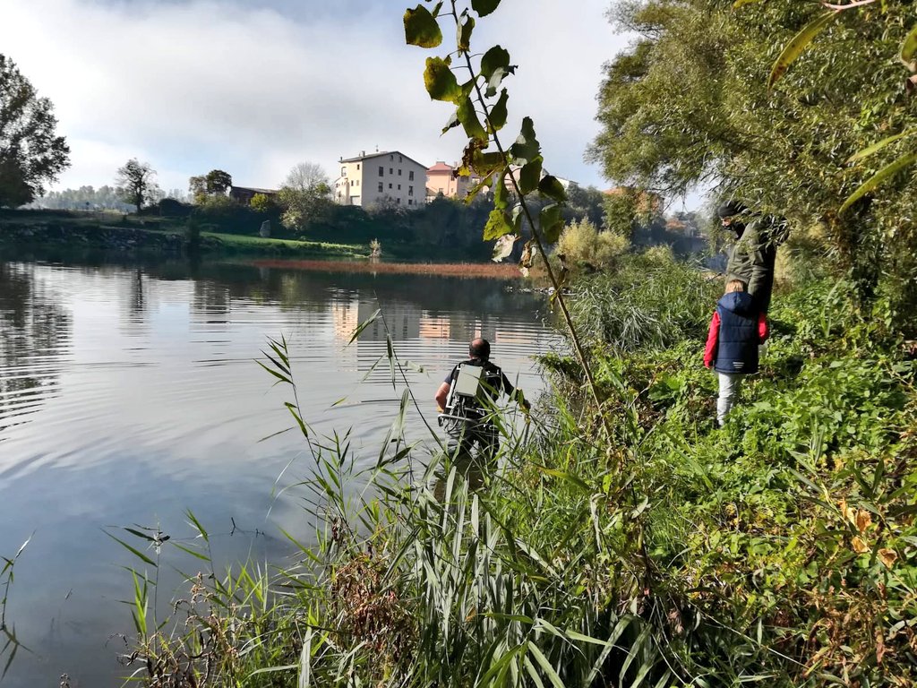 🐟💦 Avui és el dia de la migració dels peixos. A Manlleu descobrim els peixos del riu Ter i les seves migracions. També veurem una demostració de pesca esportiva sense mort  #WorldFishMigrationDay #damremovaleurope #loveflows #happyfish #worldfishmigrationfoundation