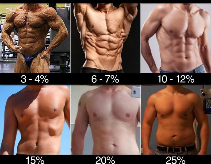 10 жира в организме. Жир на теле мужчины. Процент содержания жира в организме. Женщины с разным процентом жира. 20 жира у мужчин.