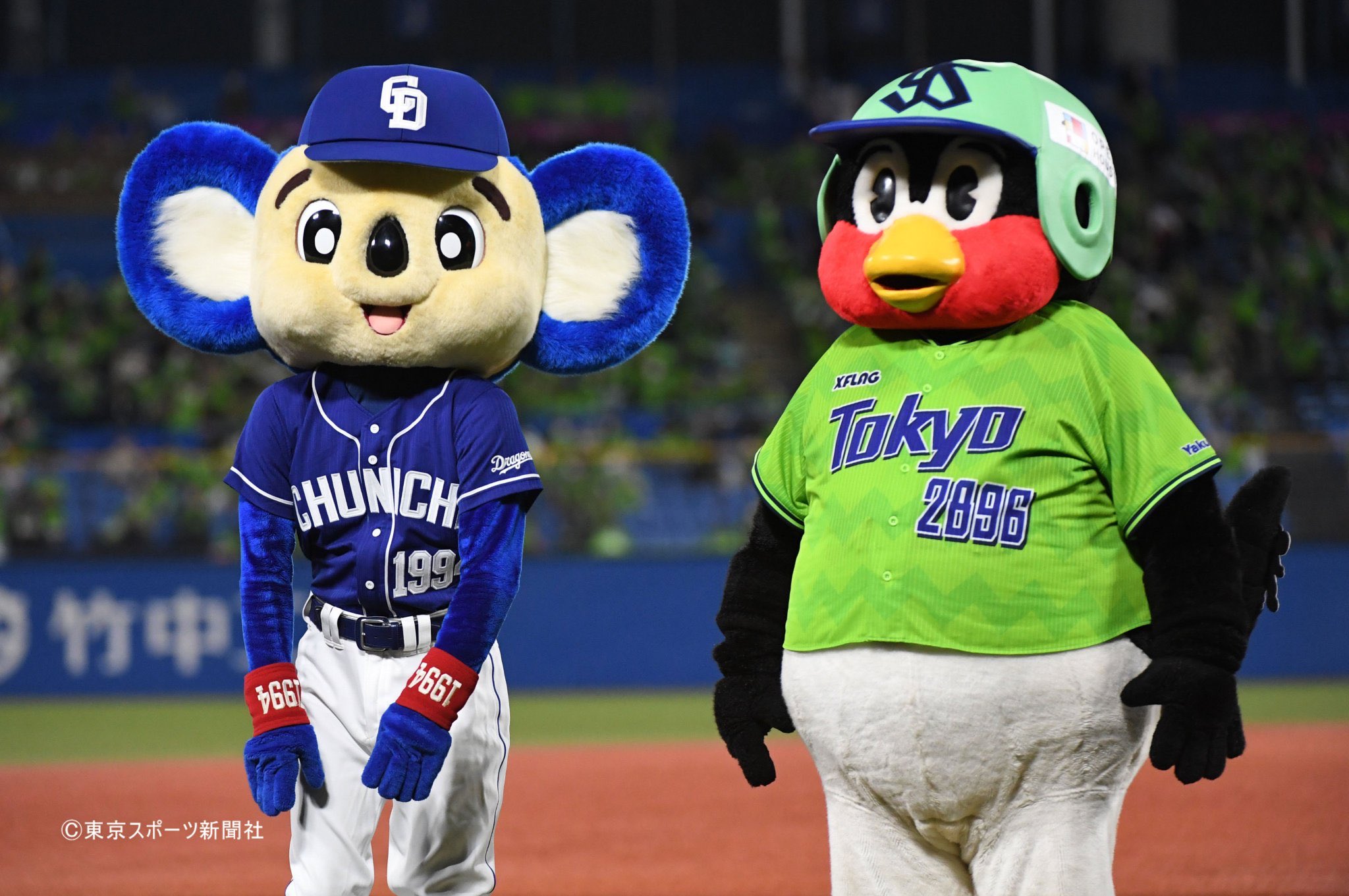 東スポ 中日ドラゴンズ取材班 本日も仲良し ドアラとつば九郎です Dragons 中日 ヤクルト戦 T Co Fheabrizff Twitter 東スポ 中日ドラゴンズ取材班 本日も仲良し ドアラとつば九郎です Dragons 中日 ヤクルト戦 T Co Fheabrizff Twitter
