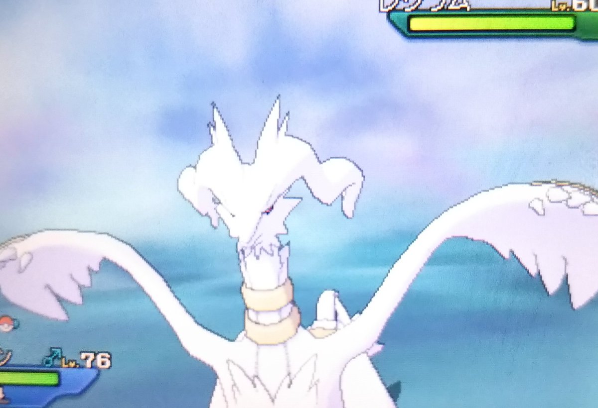 燈 No Twitter 実は昨日の夜にusumでこの子も出てました 慌てて撮ったのでいつも以上にひどいw 色違いレシラム ウルトラワープライド が鬼畜過ぎて ダイマックスアドベンチャーが以外と優しい仕様みたいなので色伝説は剣盾で粘ろうかな ポケモンusum 色