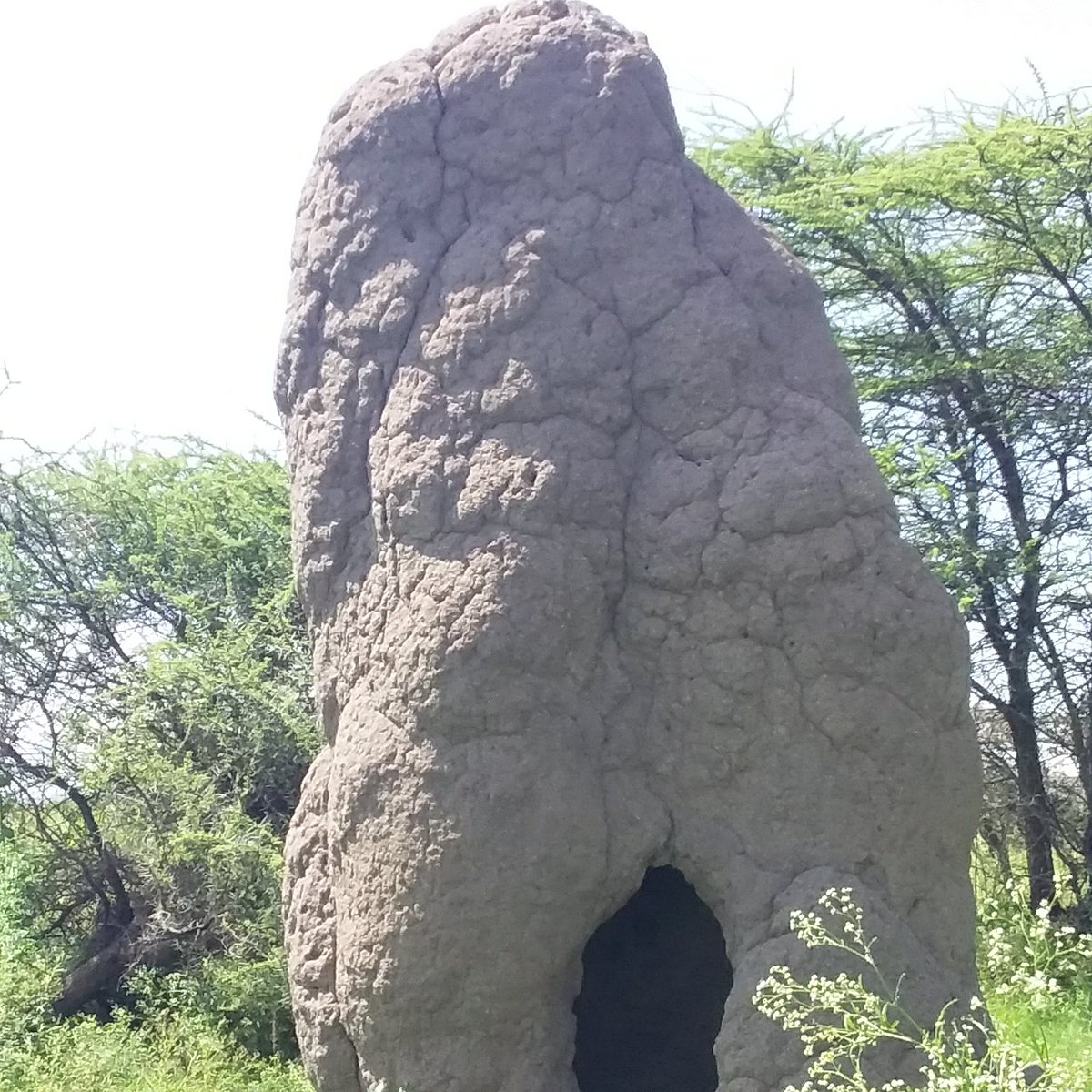 An other  #AboorTower inside  #Oromia Region, Ethiopia.