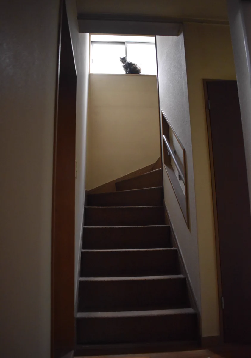 いい感じの猫の写真が撮れたので映画のポスターにしてみたら…ホラー感がすごかったｗ