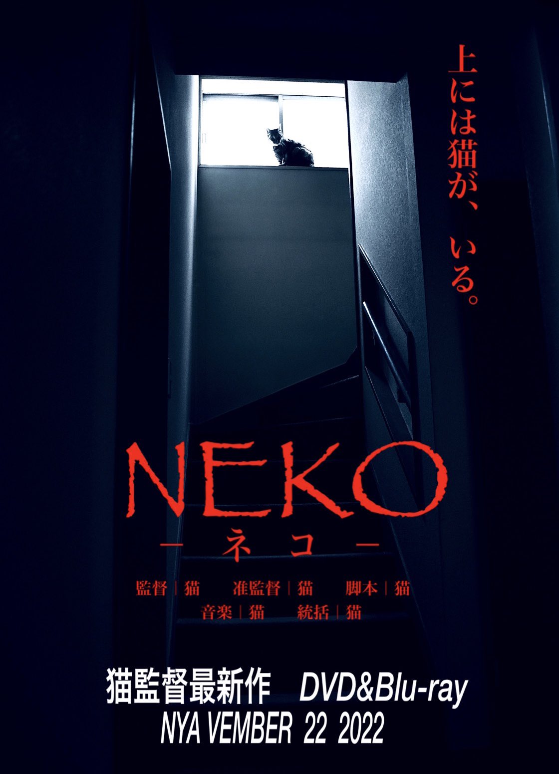 いい感じの猫の写真が撮れたので映画のポスターにしてみたら ホラー感がすごかったｗ 話題の画像プラス
