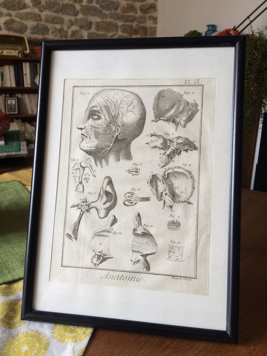 Cab_Curiosite's tweet photo. De tous temps, la #science nous a montré réellement ce qu'était l'homme réellement. Elle a même sublimer sa nature dans diverses #gravures #anatomiques . En vente ici : https://t.co/iu9AlrscMe #antiques #anatomy #medecine #art #design https://t.co/CyybHa2cWG