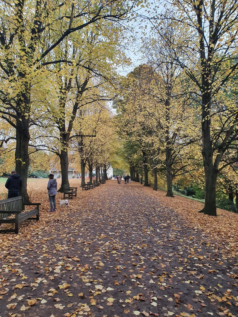 abbiemann1982's tweet photo. Took myself out for a walk on the heath before I begin my assignment. Look at these colours. Autumn is without doubt my favourite season. πππ #teacher5aday #notice #livewelllearnwell https://t.co/w5nePXHFAs