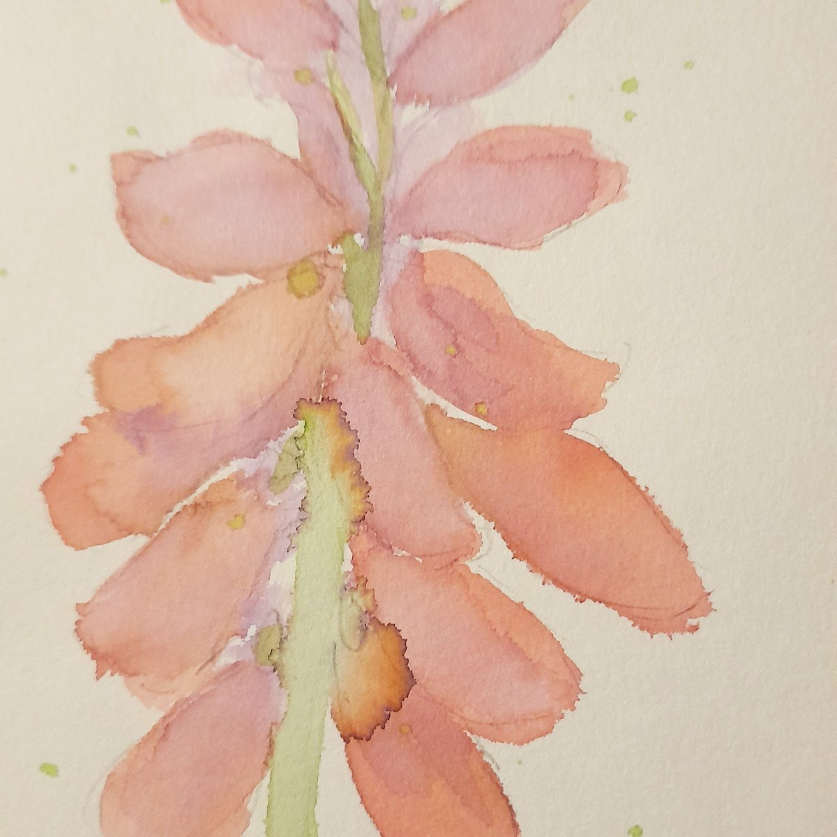 lauradrewdesign's tweet photo. Loose watercolour floral #lauradrew_designs #watercolouring #florals #handpainted #surfacepattern #ukdesigner https://t.co/uI1oj2yAmA